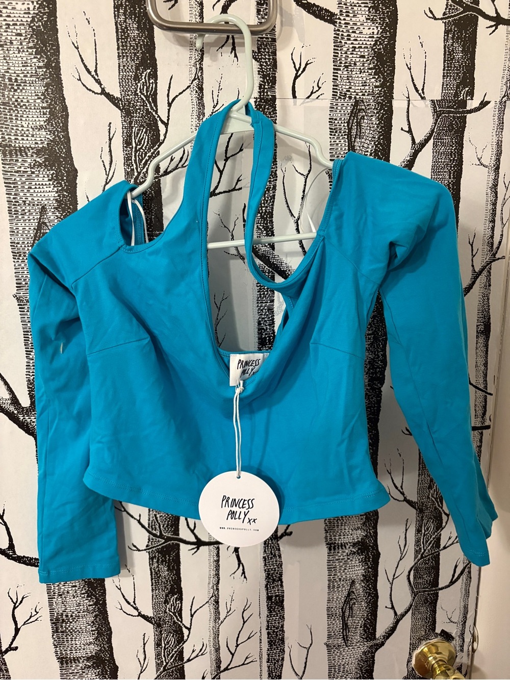 Princess Polly Bright Teal Long Sleeve Halter Crop Top